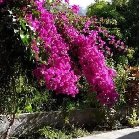 Cottage Na Ribeira Do Paul Pombas Exterior photo