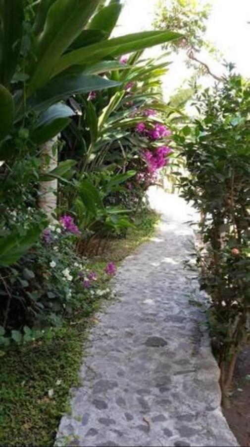 Country house Na Ribeira Do Paul Pombas