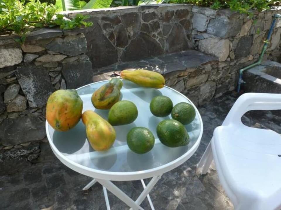 Country house Na Ribeira Do Paul
